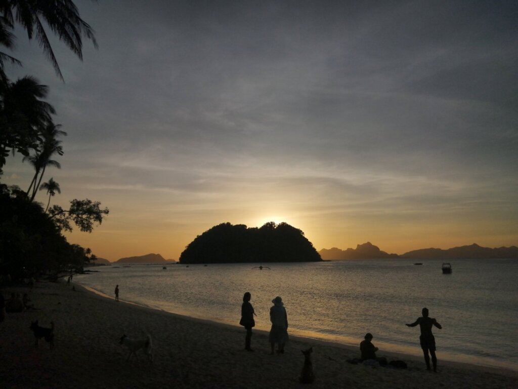 El Nido Bioluminescence Night Tour Guide 2026