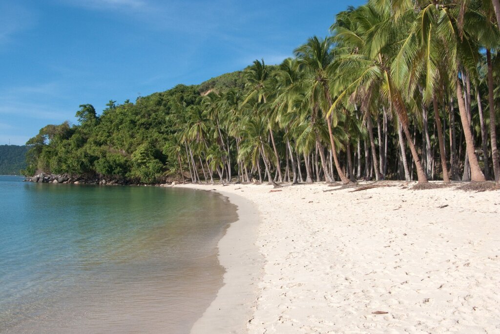 Shaded palm-lined Corong Corong Beach in El Nido