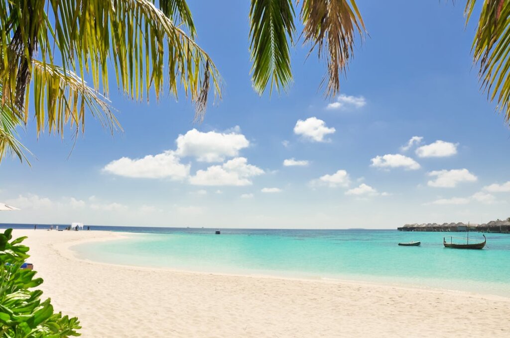 El Nido island beach snorkeling diving Palawan