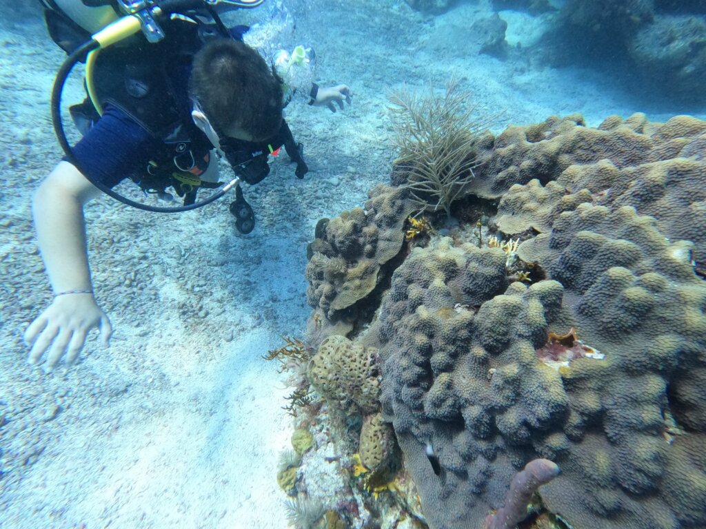 El Nido Liveaboard vs Day-Trip Diving: Which to Choose?