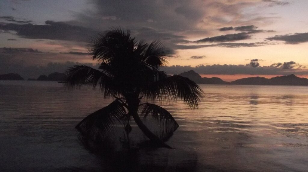 Beachfront cottages and coconut palm at sunset in El Nido