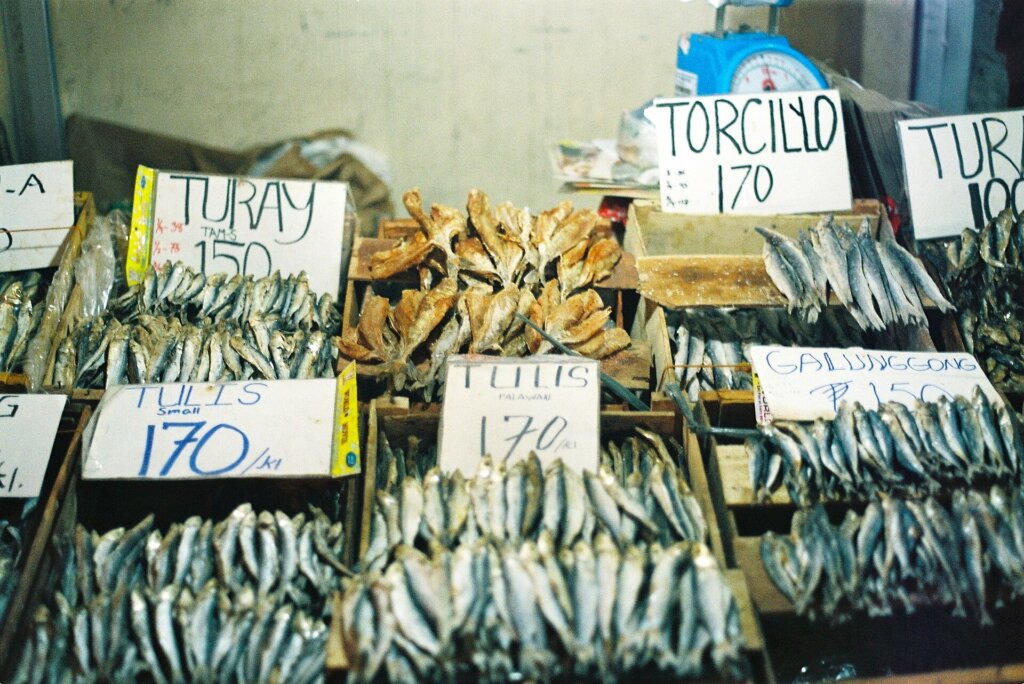 Fresh fish on sale at a Philippine public market, similar to the El Nido palengke