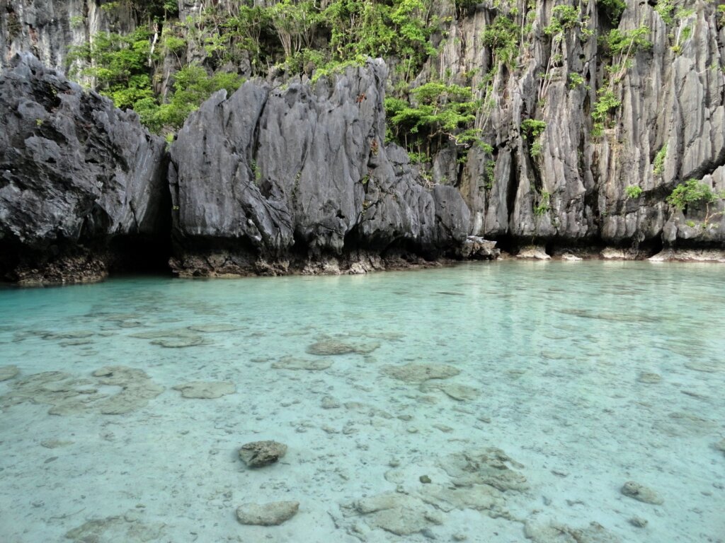 El Nido Shore Snorkeling: Best Spots From the Beach