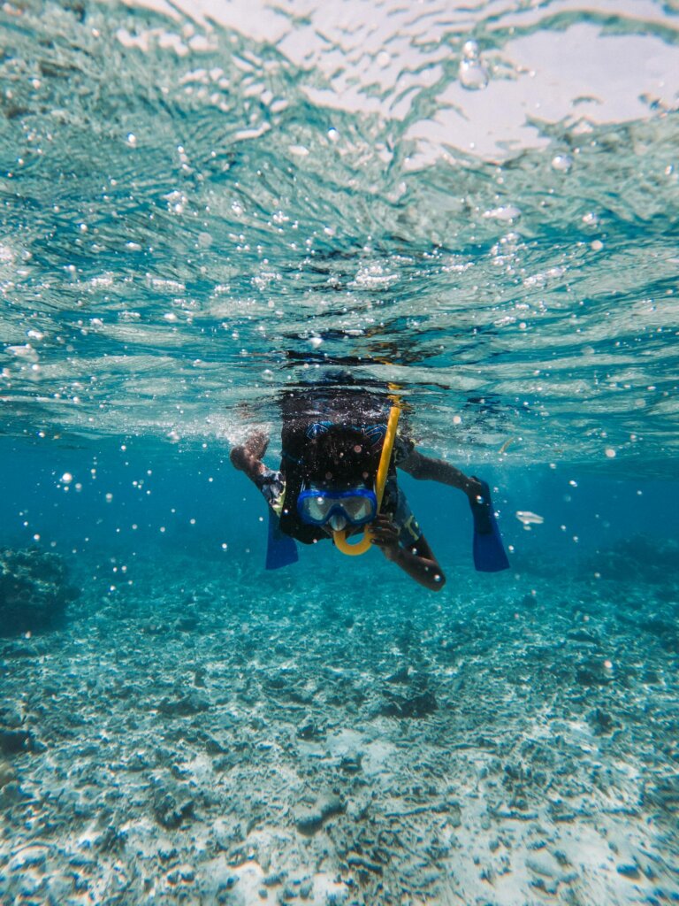 熱帶海域水下浮潛畫面