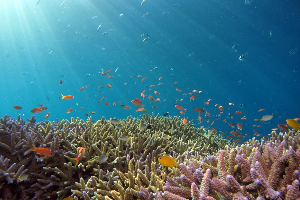 Snorkeler exploring coral reef in crystal clear water of El Nido Palawan Philippines