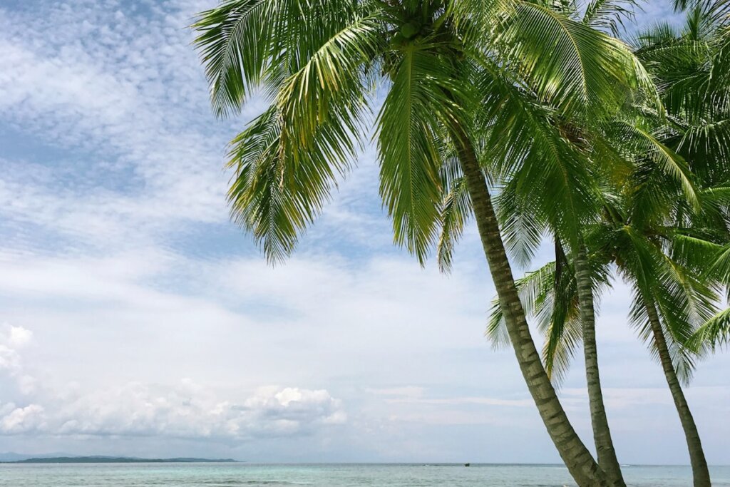 Dramatic tropical island scenery for El Nido vs Bohol Philippines comparison guide 2026