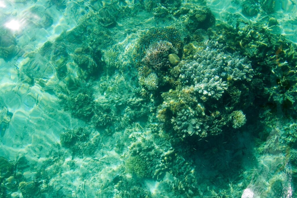 Limestone karst islands of Bacuit Bay, El Nido, compared with Cebu