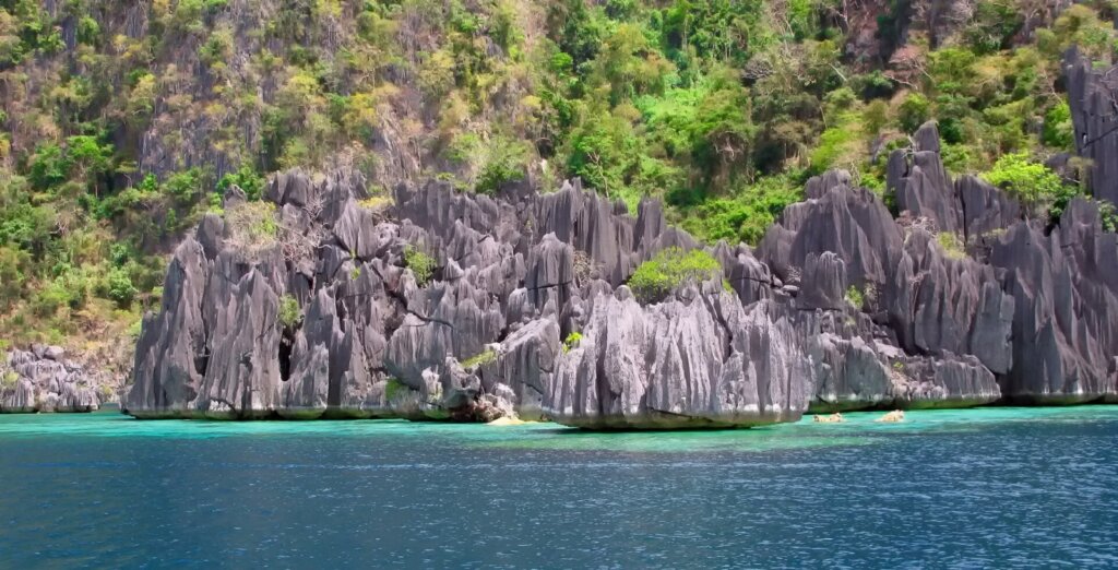 Underwater scene while diving in Palawan, Philippines