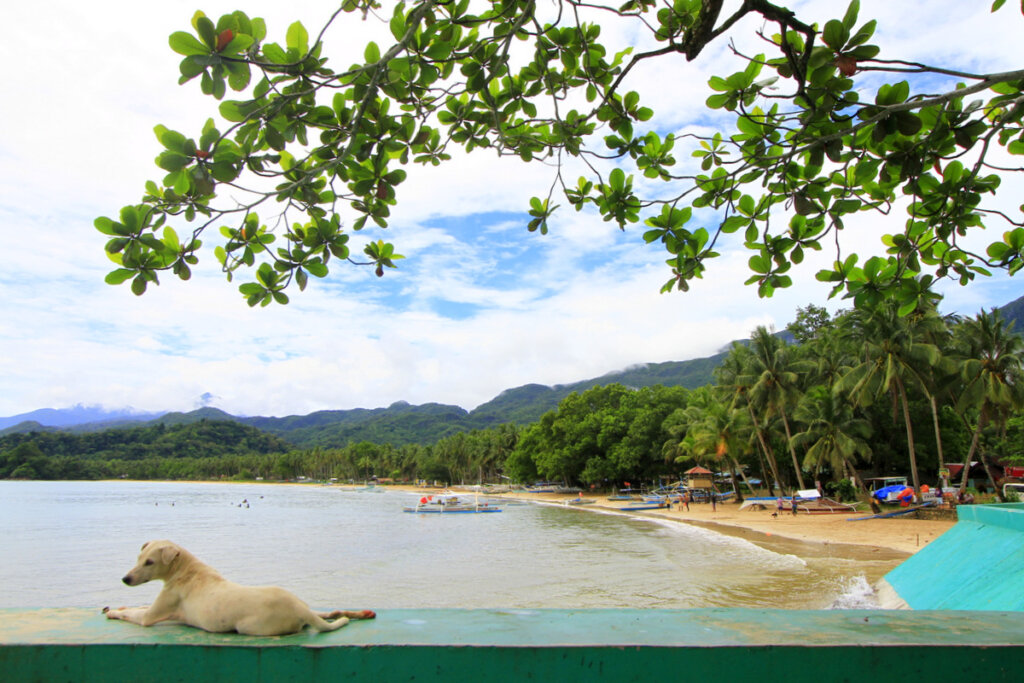 Nagtabon Beach Palawan Guide
