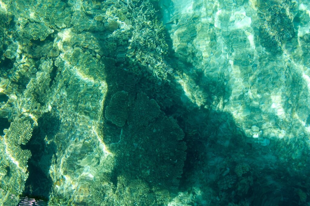 Reef and underwater scene near El Nido, Palawan