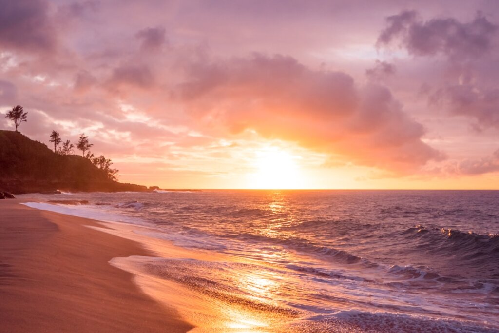 Massive whale shark swimming through clear blue water near Palawan Philippines on a snorkelling encounter