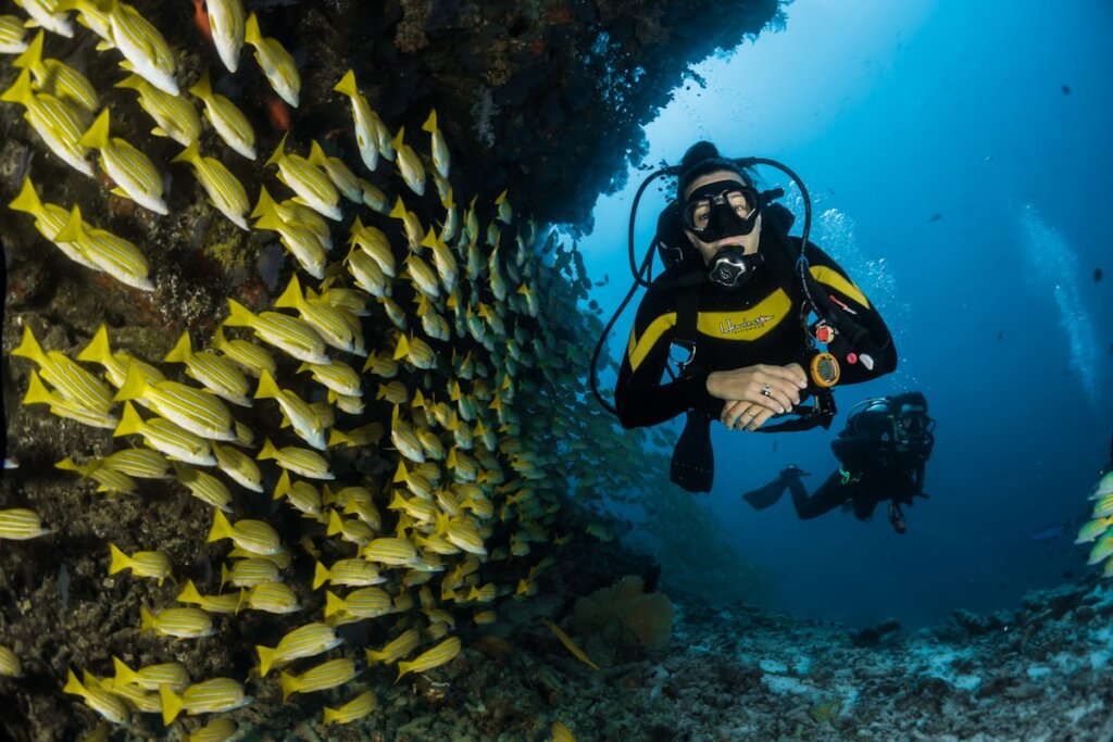 El Nido Snorkeling Guide: Best Spots, Marine Life & Tips (2026)